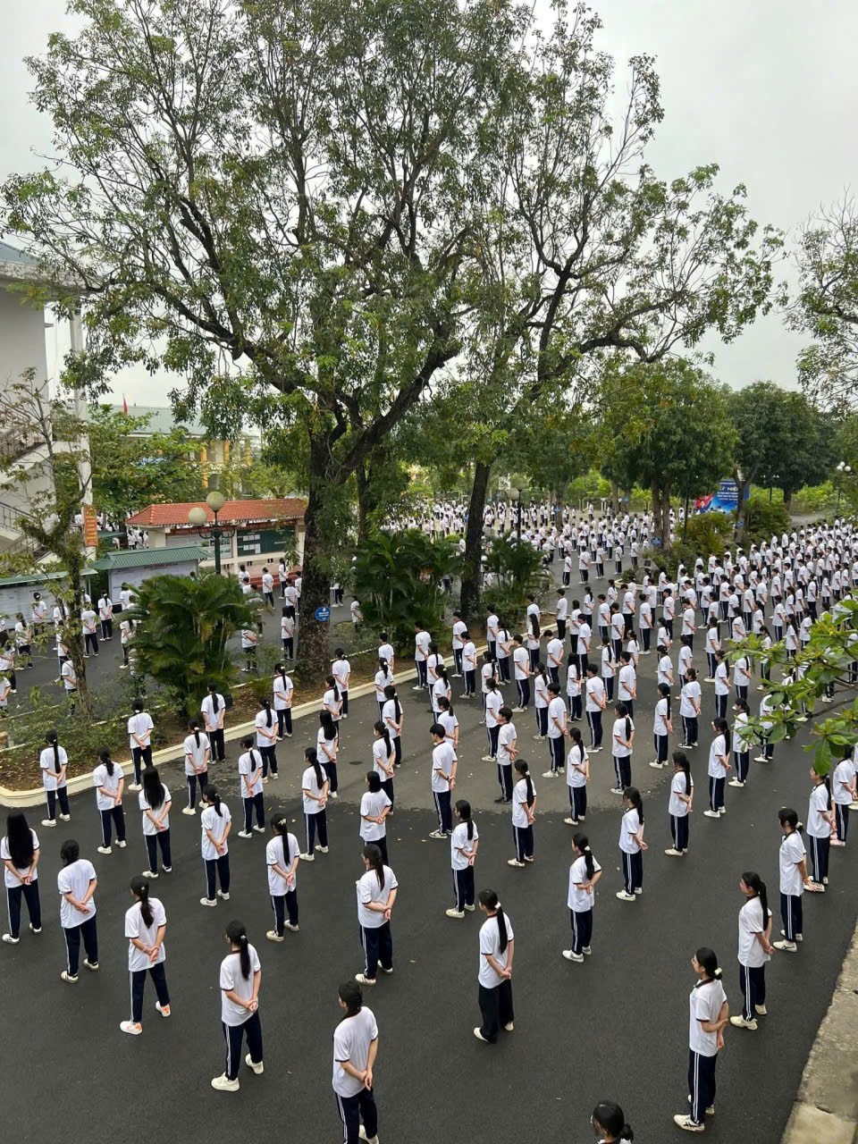Học sinh tập luyện Vovinam