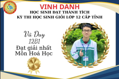 TỪ ĐAM MÊ ĐẾN THÀNH TÍCH – HỌC SINH THPT GIA VIỄN A TOẢ SÁNG TẠI KỲ THI CHỌN HSG LỚP 12 CẤP TỈNH
